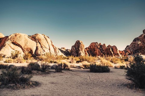 Joshua Tree National Park