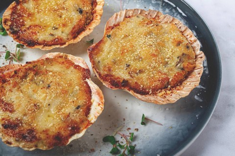 Scallop shells, stuffed, baked with cheese, in the oven, julienne with scallops