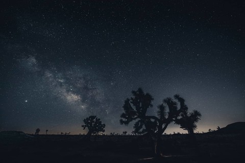 Starry sky with the Milky Way in Joshua Tree National Park
