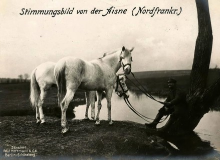 Mood picture of the Aisne, Northern France, 1914 - 1918, 1st World War, reproduction of a war