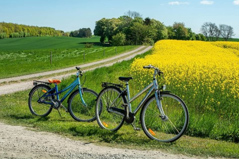Two bicycles parked by small country roads by rapeseed fields in Sjörup, Ystad municipality, Skåne