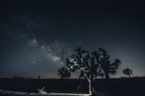 Starry sky with the Milky Way in Joshua Tree National Park