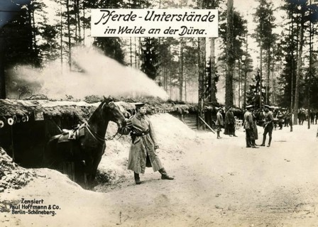 Horse shelters in the forest on the Düna, 1914 - 1918, World War I, reproduction of a war postcard