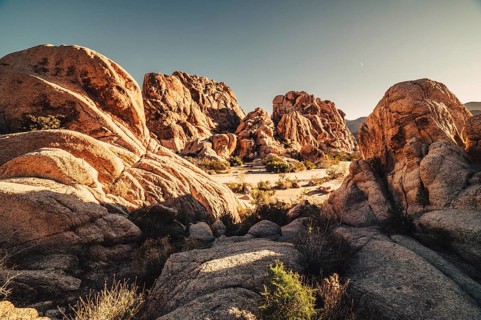 Sunrise in Joshua Tree National Park