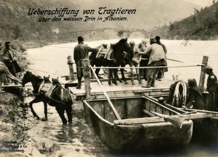 Crossing of pack animals over the White Drin in Albania, 1914 - 1918, 1st World War, reproduction