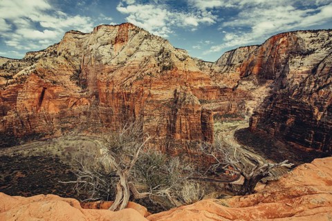 Zion National Park