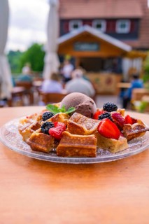 Waffles with ice cream and berries served outside on a terrace, Cafehäusle Calw, Black Forest,