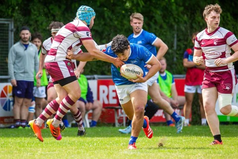 Rugby 1st Bundesliga South/West, Season 2024/25, Matchday 14: SC Neuenheim vs RSV Köln