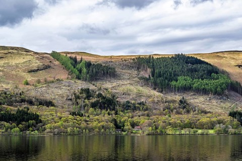 Farm and mountains, Loch Earn, Southern Highlands, Scotland, United Kingdom, Europe