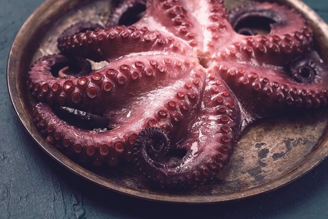 Boiled octopus, close-up, rustic style, no people, top view, close-up