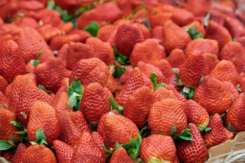 Selling strawberries at a market in Essaouira, Morocco, Africa