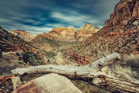 Zion National Park