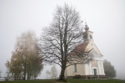 Karger tree, autumn atmosphere with fog, Theresienkapelle, Mass chapel Maria vom Guten Rat, Sausal,