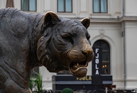 A close-up picture of the iconic Tiger statue of Oslo, at the Jernbanetorget Square. Designed by