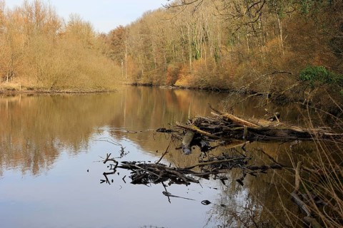 Idyllic river Enz near Untermberg near Ludwigsburg