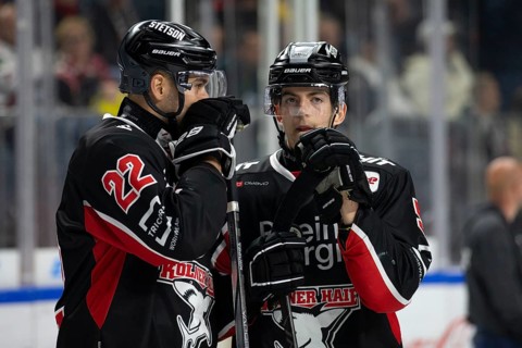 LanxessArena, Cologne, North Rhine-Westphalia, Robin van Calster (Cologne Sharks, #5), Maximilian
