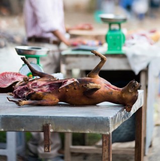 Dog meat for sale at market in Vietnam