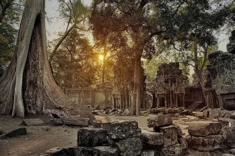 Ta Prohm temple at sunrise in Angkor Wat, Siem Reap, Cambodia, Asia