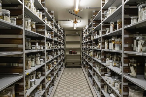Brussels Capital Region, Belgium, 03 19 2022, Isle with shelves in the archive of the museum for