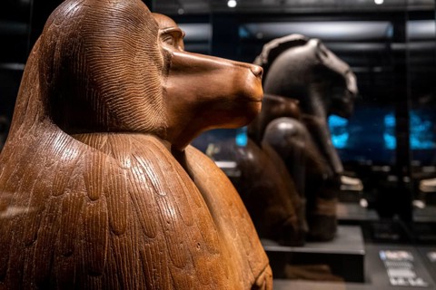 Figure of a squatting baboon, red quartzite, 18th dynasty reigning Amenhotep III, collection of the