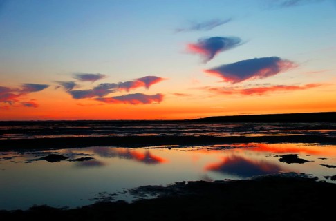 Wadden Sea Schleswig-Holstein, Germany, Europe
