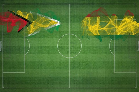 Guyana vs Bolivia Soccer Match, national colors, national flags, soccer field, football game,