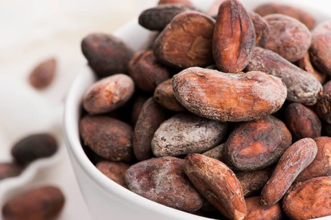 Bowl of cacao beans on a white background