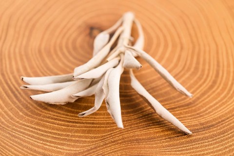 Dried white sage