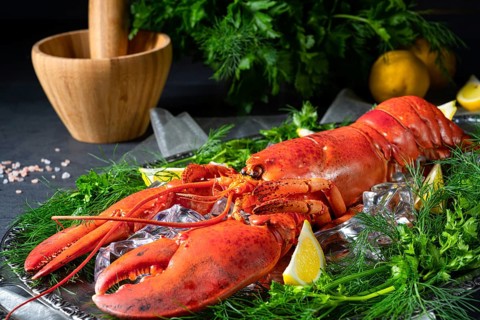 The cooked lobster on ice