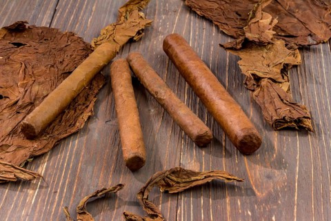 Leaves of tobacco and finished cigars lie side by side. Austria