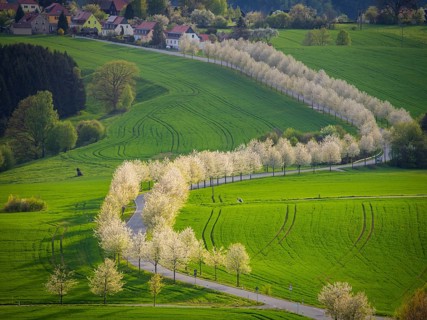 Sunset at Adamsberg, Altendorf, Saxony, Germany, Europe