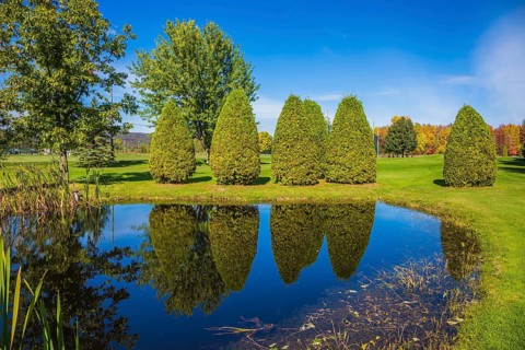 Small quiet pond with water mirror reflecting the blue sky. Phenomenally beautiful park with autumn