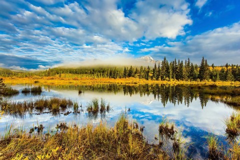 Patricia Lake among the firs and pines. Water reflects the sky. Cool cloudy morning in the Rocky