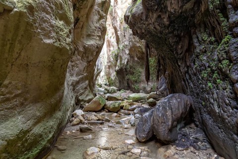 Avagas Gorge in the western part of Cyprus