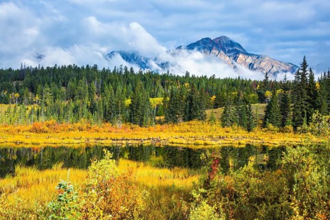 Lake amongst the evergreen forests, yellowed shrubs and mountains. Warm autumn day in Jasper Park,