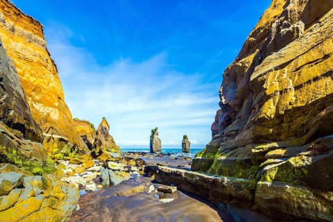 Picturesque rocks Three Sisters on the Pacific coast. North Island, New Zealand. The concept of