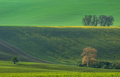 The small white Santa Barbara chapel surrounded by rape and wheat fields. Beautiful abstract