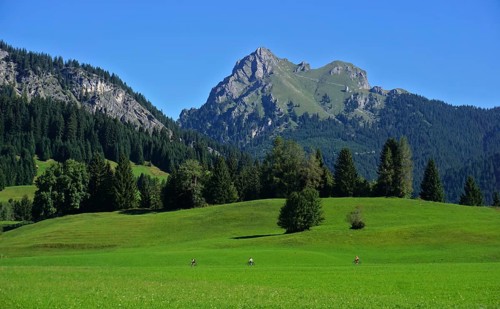 Tannheimer Tal near Tannheim-Grän, Tyrol, Austria, View of the Aggenstein, Tannheimer valley near