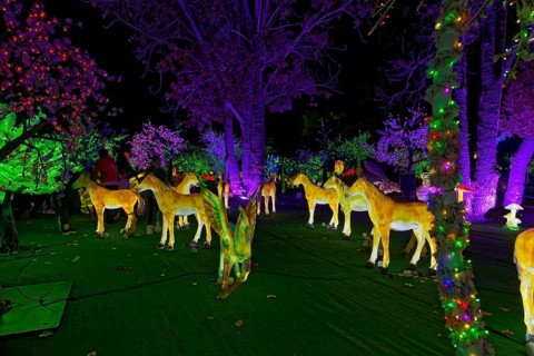 Illumi light show event, 25 million lights, the magical forest, Laval, Province of Quebec, Canada,