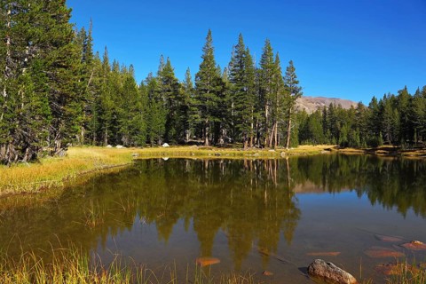 A quiet lake, surrounded by woods, in the mountains of Yosemite Park. Early autumn morning