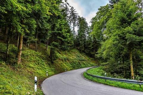 Teerstraße, die sich durch eine üppige grüne Landschaft mit Frühlingswald in einem Alpental