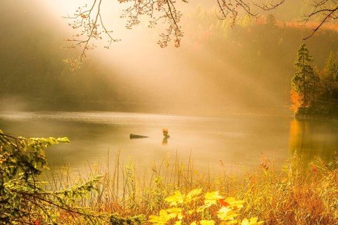 Beautiful landscape with autumn colors, sun rays and mist over lake and forest, in Fussen, Germany.