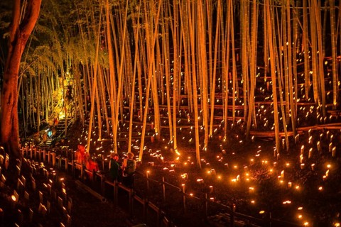 Bamboo forest light up (small desk Castle forest of citizen). Shooting Location: Yokohama-city