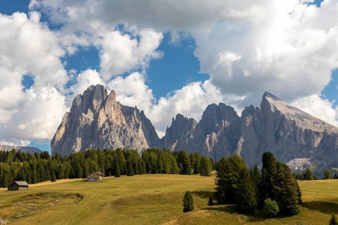 View over the Seiser Alm, Alpe di Siusi, to Langkofel and Plattkofel, South Tyrol