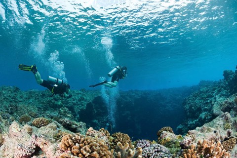 Diver at the upper entrance of the Blue Hole underwater cave, Micronesia, Palau, Oceania