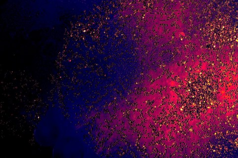 Oil bubbles inside water base form patterns