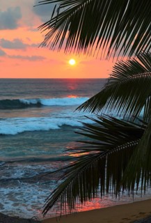 Beautiful sea sunset and palm leaves on foreground