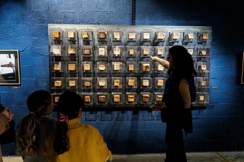 Original Marseille soap, Savonnerie du Midi soap factory, museum, Marseille, France, Europe