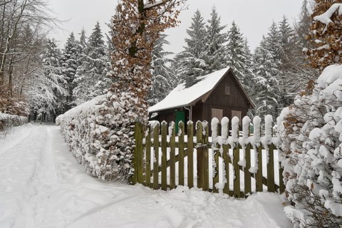 House by the forest