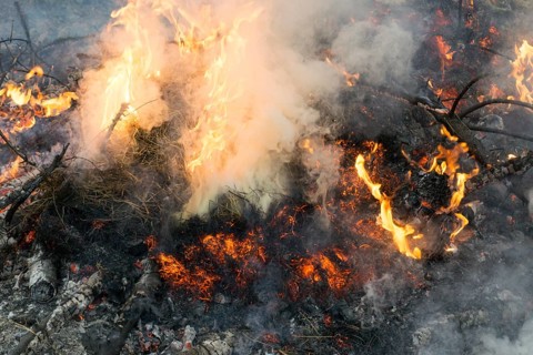 Close-up of fire with smoke, embers and ash